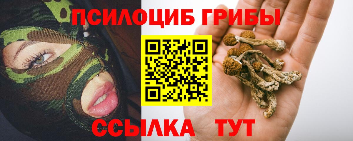 Галлюциногенные грибы Cubensis Ишим